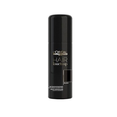 LOREAL PROFESSIONAL TOUCH UP SPRAY